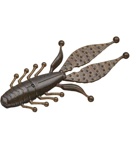 Amazon.co.jp: ZBC/ZOOM BABY BRUSH HOG/ベビーブラッシュホッグ WM